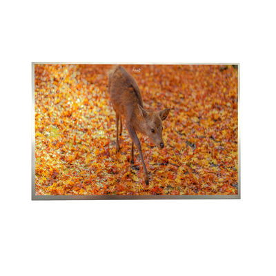 satın al 8' IPS FHD LVDS TFT Ekranı 1000cd Parlaklık 1920*1200 Çözünürlük online manufacture