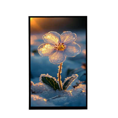 satın al 10.1 Inch Portre Ekranı IPS 800x1280 Çözünürlüğü Tft LCD Araç Ekranı online manufacture