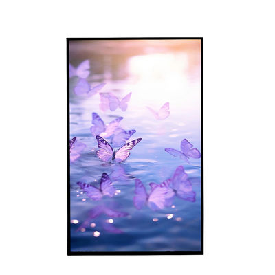 800X1280 çözünürlüğü 10.1 inç portre tft LCD ekranı özelleştirilmiş dokunmatik ekranla