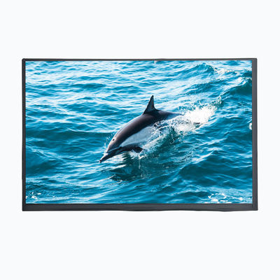 10.1 inç 1280x800 TFT LCD Ekran EM Touch EDP Arayüzleri TCON Bağlantı Arayüzü IPS Görünüm Ekranı