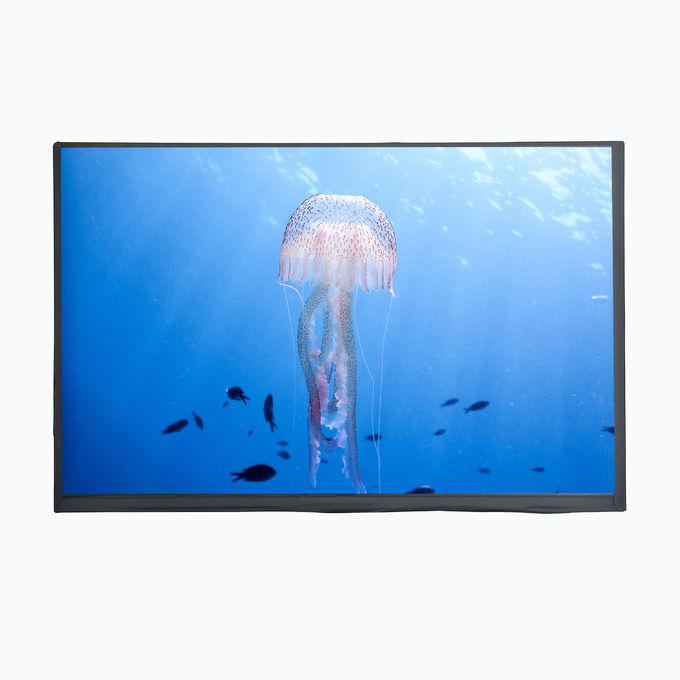 LCD Mall 10.1 Inch TFT LCD Ekranı EM Dokunmatik Panel ile 750cd/m2 1280XRGBX800 Çözünürlük 0